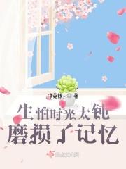 生怕时光太钝磨损了记忆