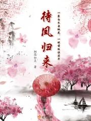 待凤归来