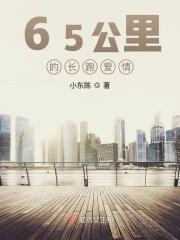 65公里的长跑爱情