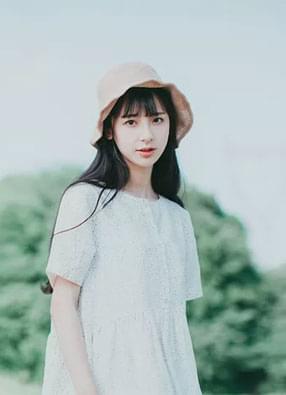 镇国神婿